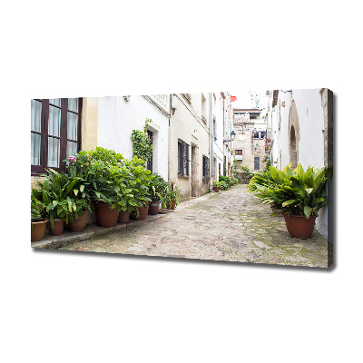 Foto en lienzo con acabado profesional horizontal Una calle con encanto