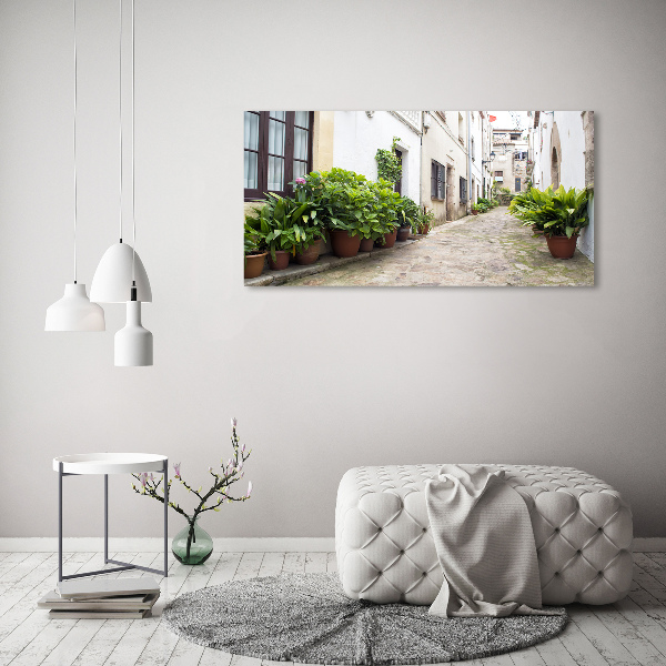 Foto en lienzo con acabado profesional horizontal Una calle con encanto