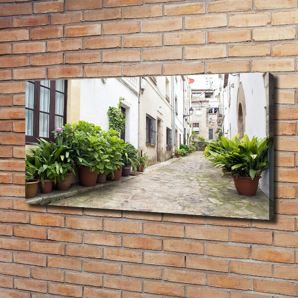 Foto en lienzo con acabado profesional horizontal Una calle con encanto