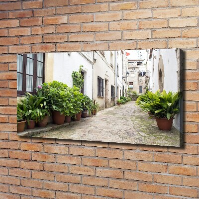 Foto en lienzo con acabado profesional horizontal Una calle con encanto