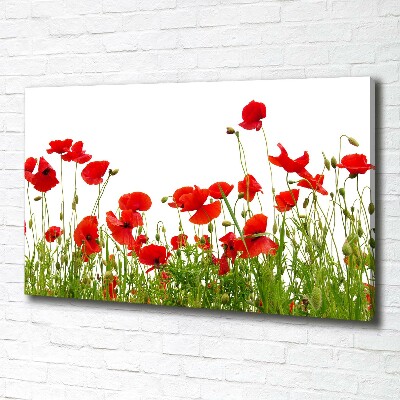 Fotocuadro en lienzo de alta calidad horizontal Amapolas