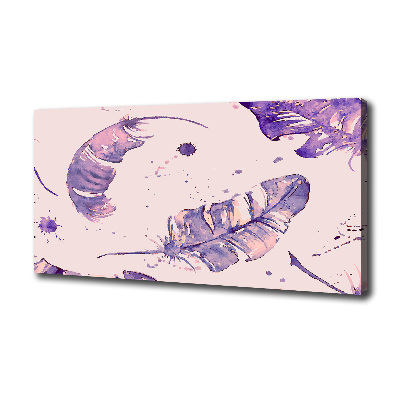 Foto en lienzo con acabado profesional horizontal plumas