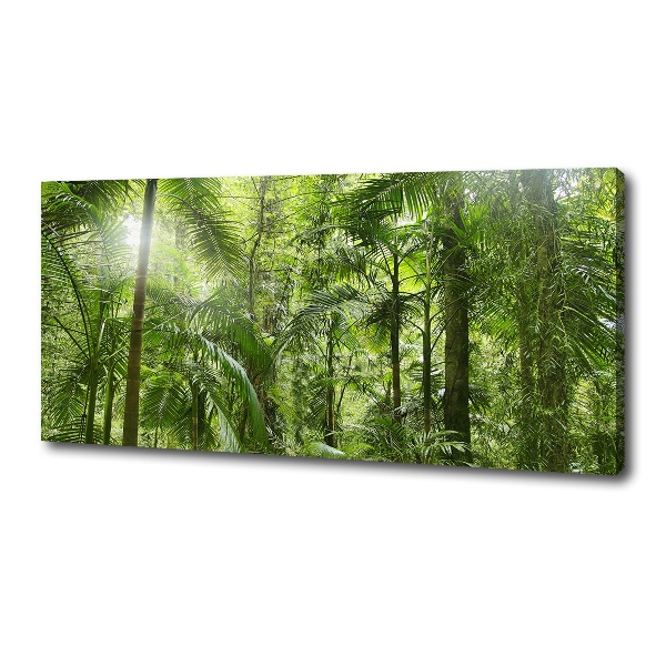 Cuadro canvas con impresión uv duradera horizontal Bosque tropical