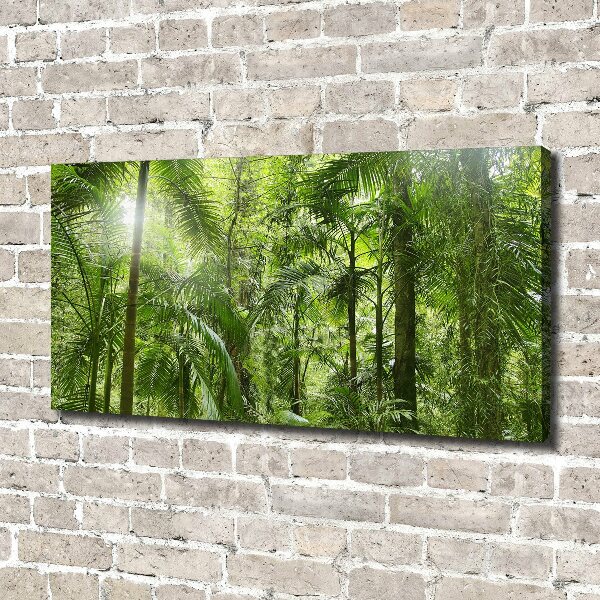 Cuadro canvas con impresión uv duradera horizontal Bosque tropical