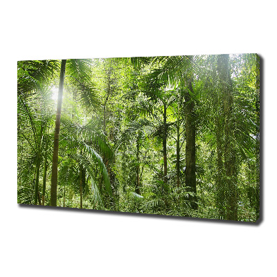 Cuadro canvas con impresión uv duradera horizontal Bosque tropical