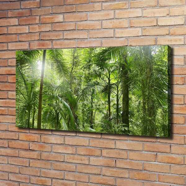 Cuadro canvas con impresión uv duradera horizontal Bosque tropical
