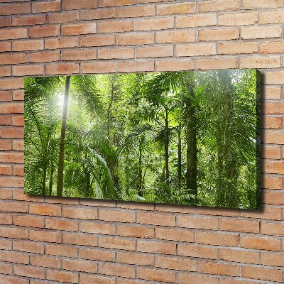 Cuadro canvas con impresión uv duradera horizontal Bosque tropical
