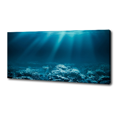 Cuadro canvas con impresión uv duradera horizontal Mundo submarino