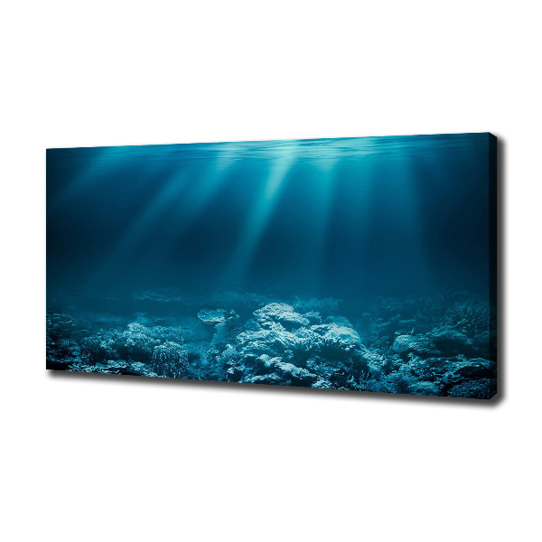Cuadro canvas con impresión uv duradera horizontal Mundo submarino