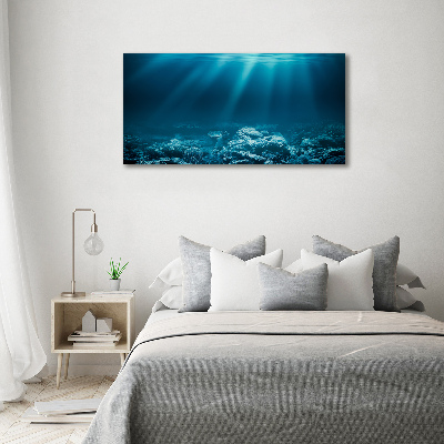 Cuadro canvas con impresión uv duradera horizontal Mundo submarino