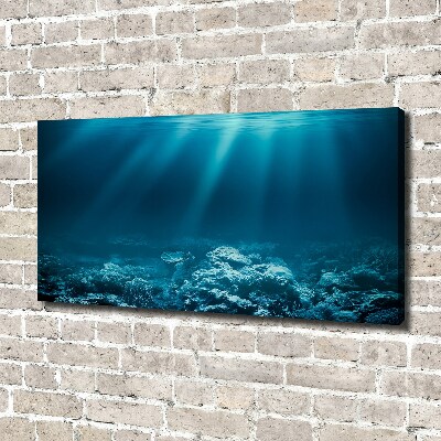 Cuadro canvas con impresión uv duradera horizontal Mundo submarino