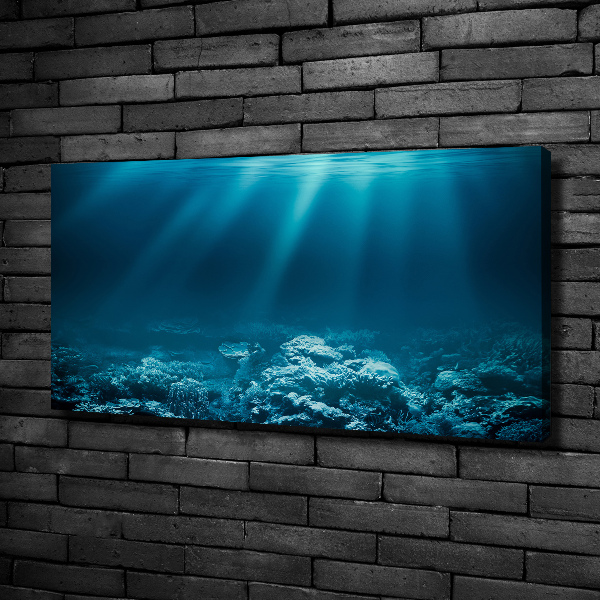Cuadro canvas con impresión uv duradera horizontal Mundo submarino