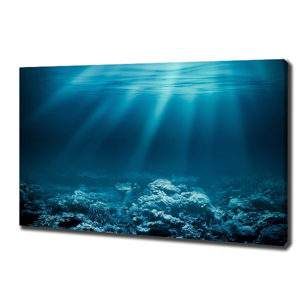 Cuadro canvas con impresión uv duradera horizontal Mundo submarino