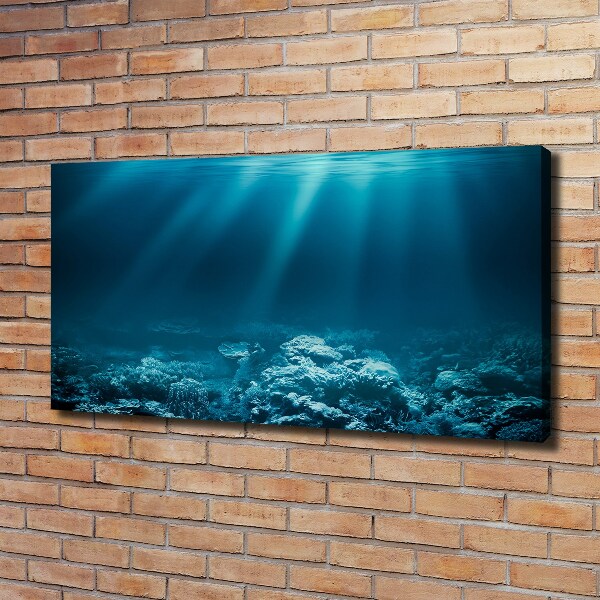 Cuadro canvas con impresión uv duradera horizontal Mundo submarino