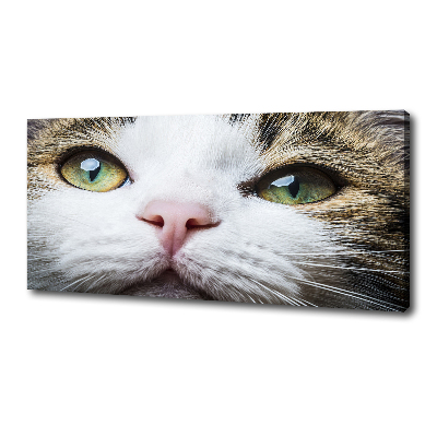 Foto en lienzo con acabado profesional horizontal Ojos de gato verdes