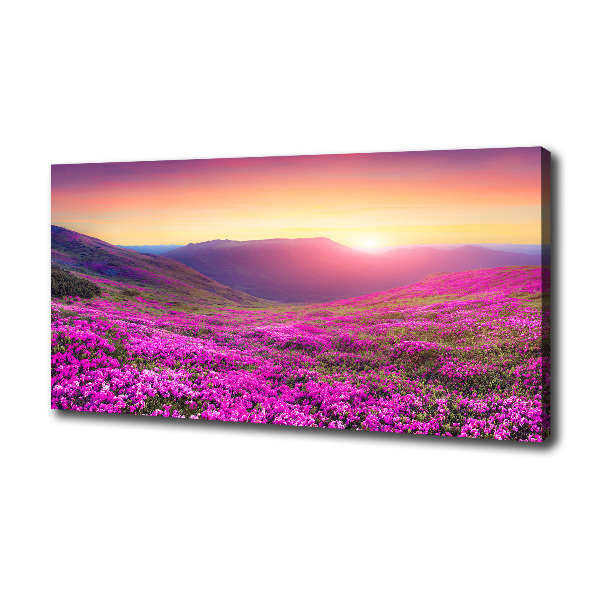 Cuadro canvas moderno de gran formato horizontal Colinas rosadas