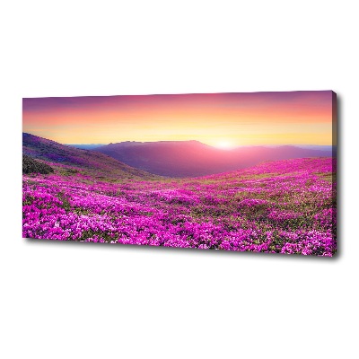 Cuadro canvas moderno de gran formato horizontal Colinas rosadas