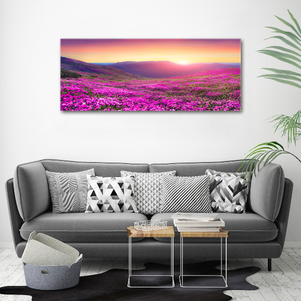 Cuadro canvas moderno de gran formato horizontal Colinas rosadas