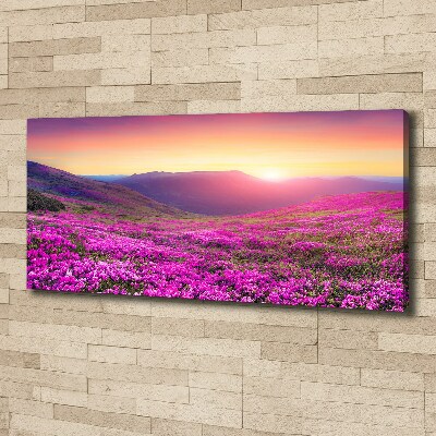 Cuadro canvas moderno de gran formato horizontal Colinas rosadas