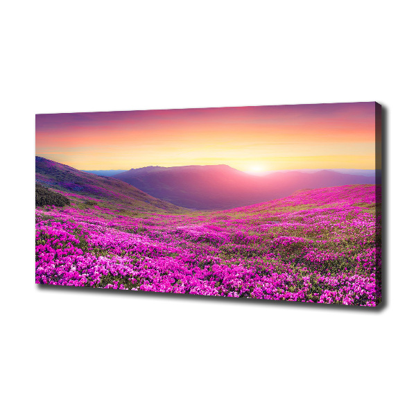 Cuadro canvas moderno de gran formato horizontal Colinas rosadas