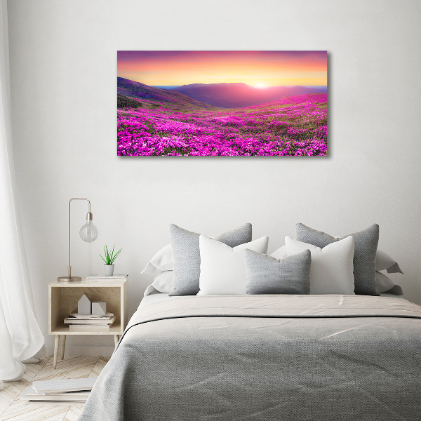 Cuadro canvas moderno de gran formato horizontal Colinas rosadas