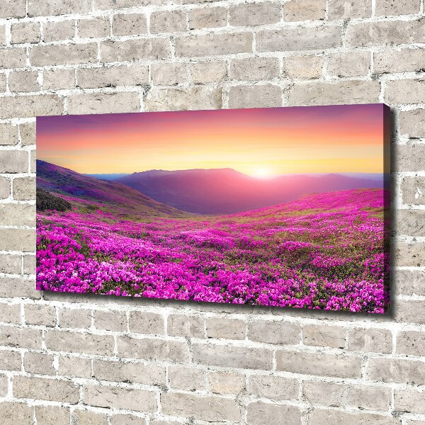 Cuadro canvas moderno de gran formato horizontal Colinas rosadas