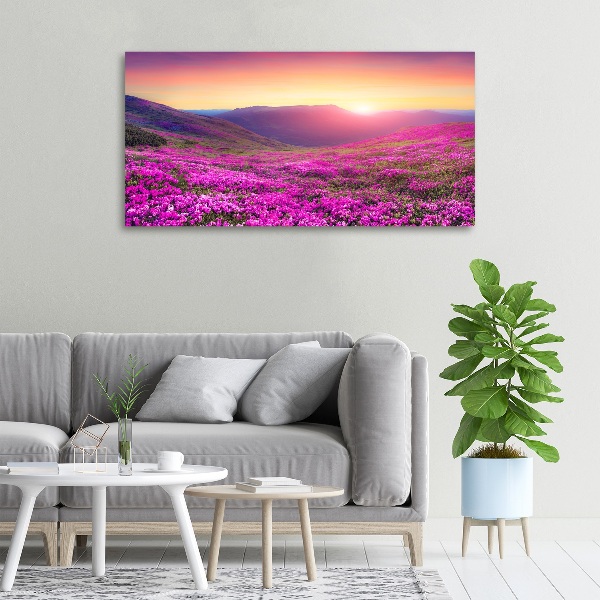 Cuadro canvas moderno de gran formato horizontal Colinas rosadas