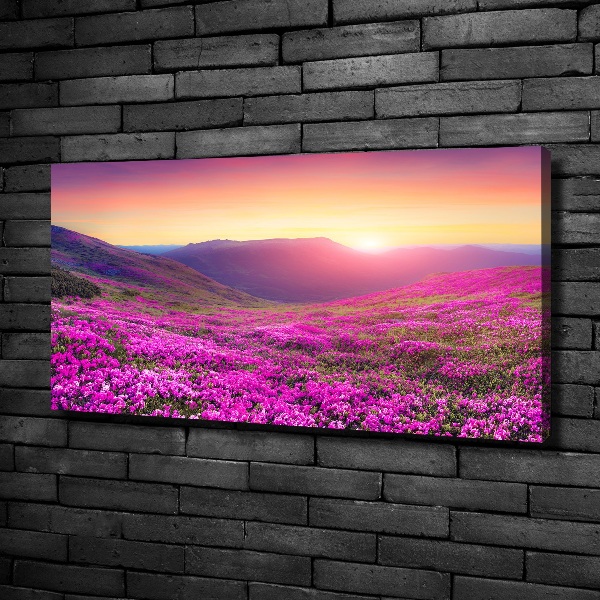 Cuadro canvas moderno de gran formato horizontal Colinas rosadas