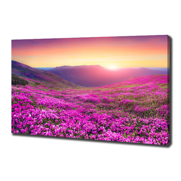 Cuadro canvas moderno de gran formato horizontal Colinas rosadas