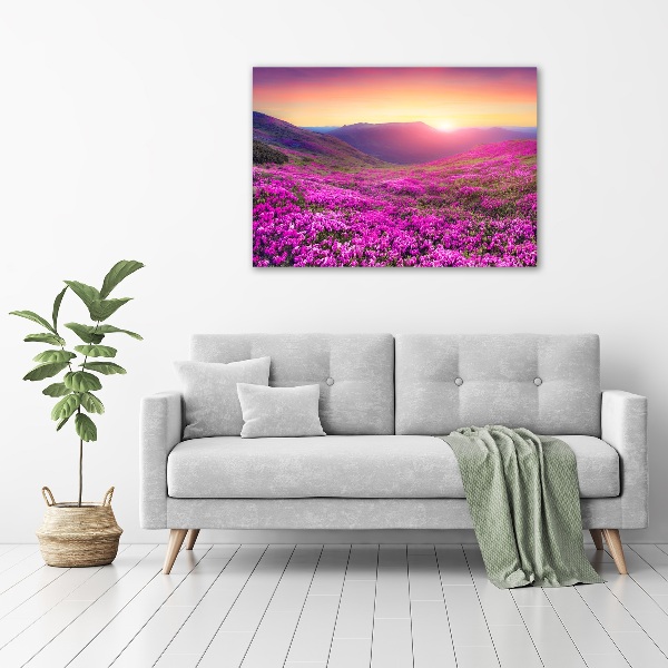 Cuadro canvas moderno de gran formato horizontal Colinas rosadas