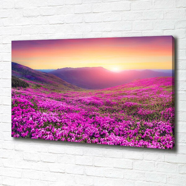 Cuadro canvas moderno de gran formato horizontal Colinas rosadas