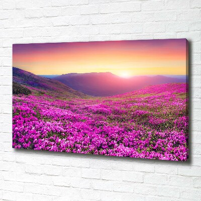 Cuadro canvas moderno de gran formato horizontal Colinas rosadas