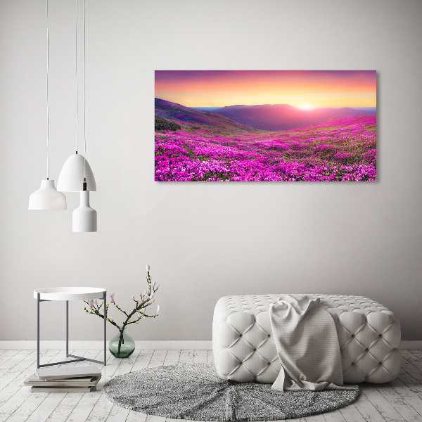 Cuadro canvas moderno de gran formato horizontal Colinas rosadas