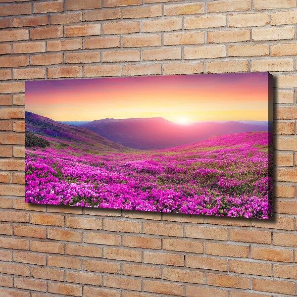 Cuadro canvas moderno de gran formato horizontal Colinas rosadas