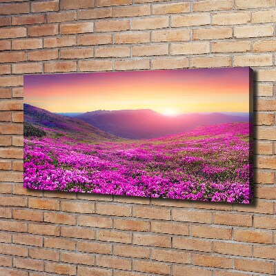 Cuadro canvas moderno de gran formato horizontal Colinas rosadas