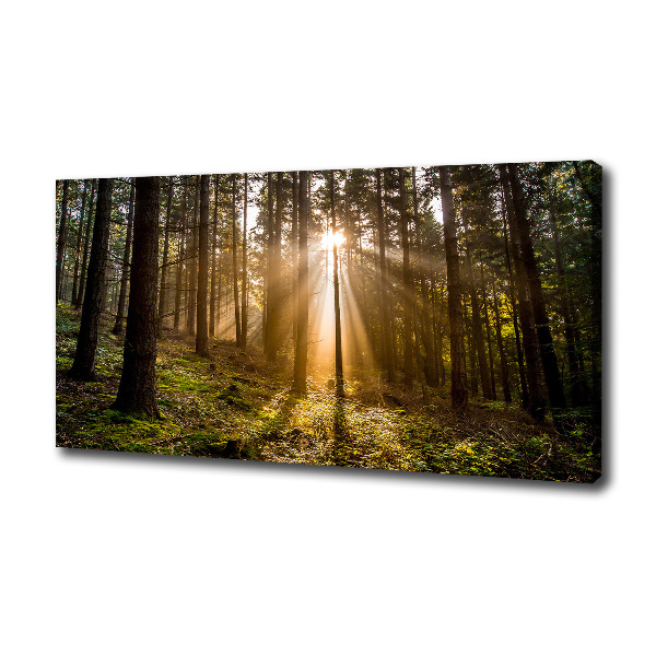Cuadro canvas con impresión uv duradera horizontal Luz del sol