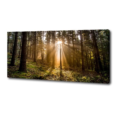 Cuadro canvas con impresión uv duradera horizontal Luz del sol