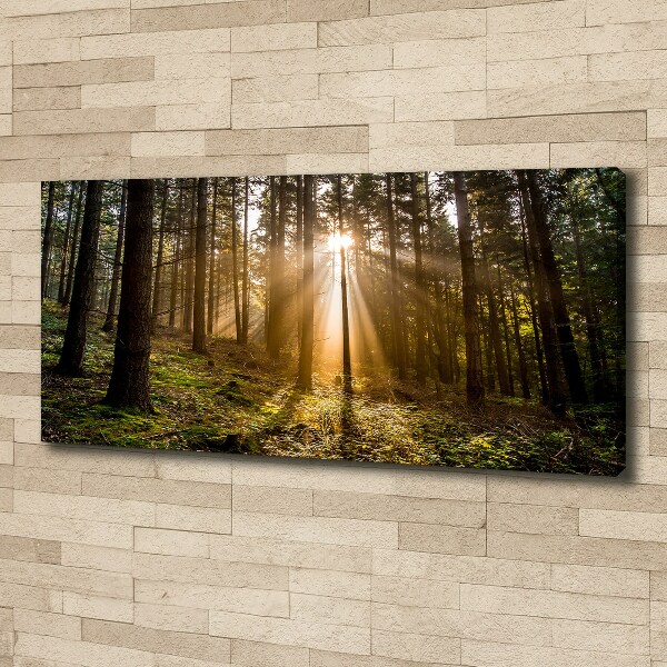 Cuadro canvas con impresión uv duradera horizontal Luz del sol