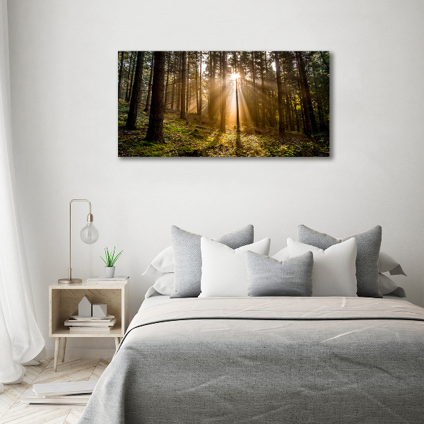 Cuadro canvas con impresión uv duradera horizontal Luz del sol