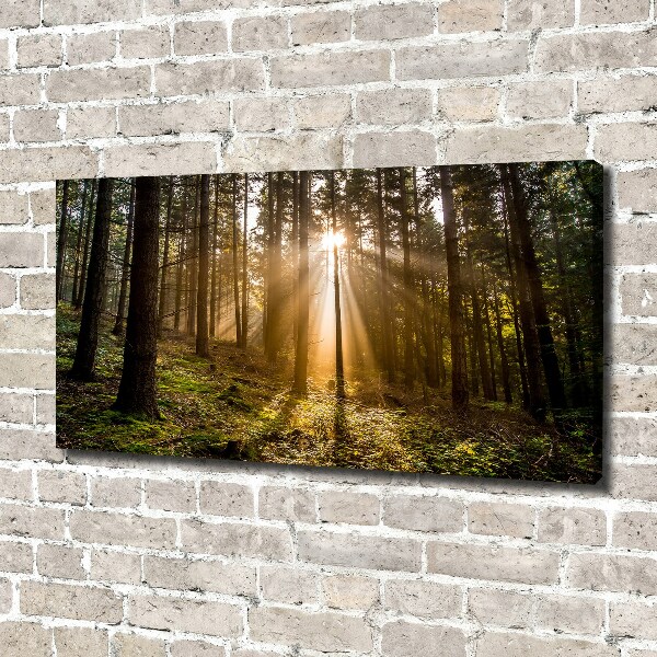 Cuadro canvas con impresión uv duradera horizontal Luz del sol