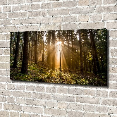 Cuadro canvas con impresión uv duradera horizontal Luz del sol