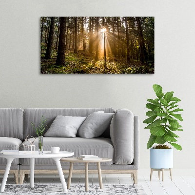 Cuadro canvas con impresión uv duradera horizontal Luz del sol