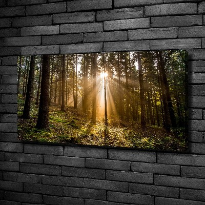 Cuadro canvas con impresión uv duradera horizontal Luz del sol