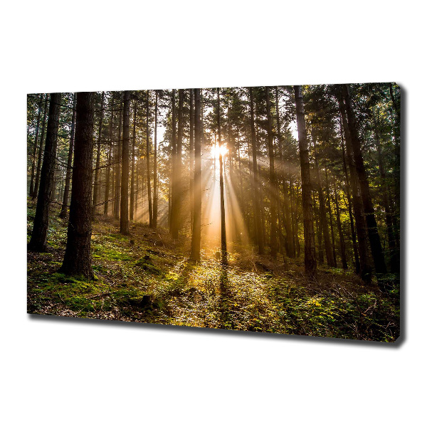 Cuadro canvas con impresión uv duradera horizontal Luz del sol