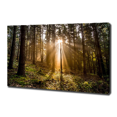 Cuadro canvas con impresión uv duradera horizontal Luz del sol
