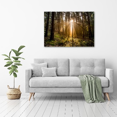 Cuadro canvas con impresión uv duradera horizontal Luz del sol