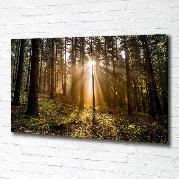 Cuadro canvas con impresión uv duradera horizontal Luz del sol