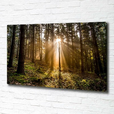 Cuadro canvas con impresión uv duradera horizontal Luz del sol
