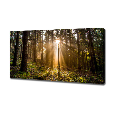 Cuadro canvas con impresión uv duradera horizontal Luz del sol