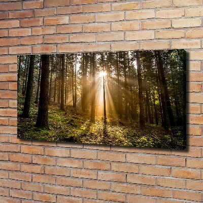 Cuadro canvas con impresión uv duradera horizontal Luz del sol